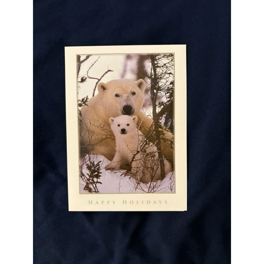 Seasons Greetings Card with White Envelope | Polar Bear design | By Amnesty Intl